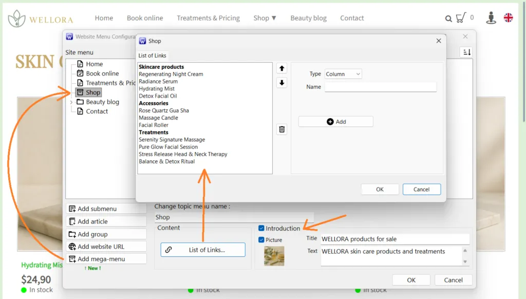 creating a mega menu in a TOWeb site