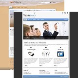 TOWeb - New themes