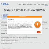 TOWeb popup script