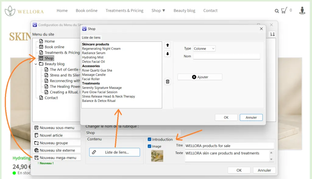 création d'un méga menu dans un site TOWeb