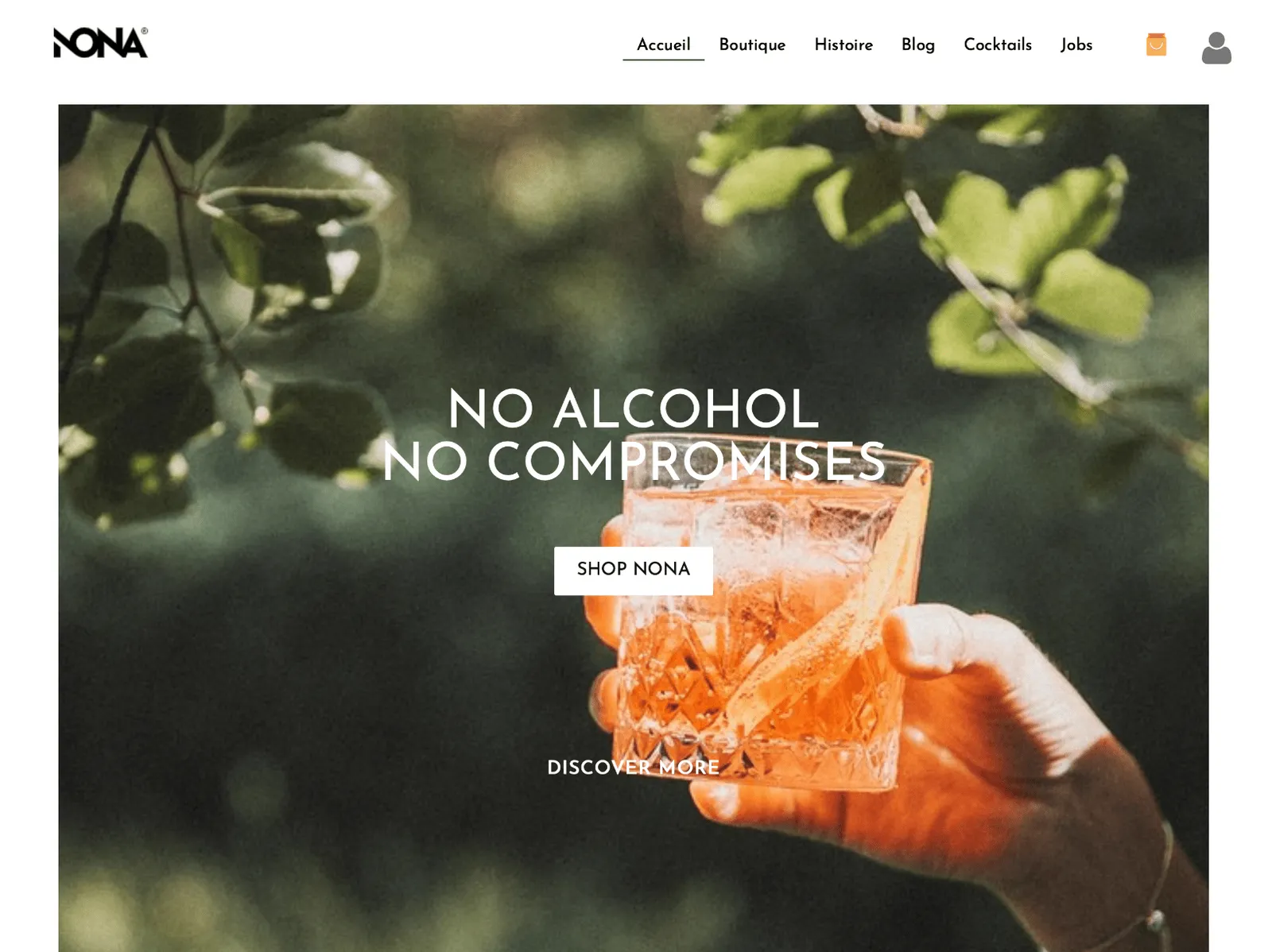 Nuovi template TOWeb 11