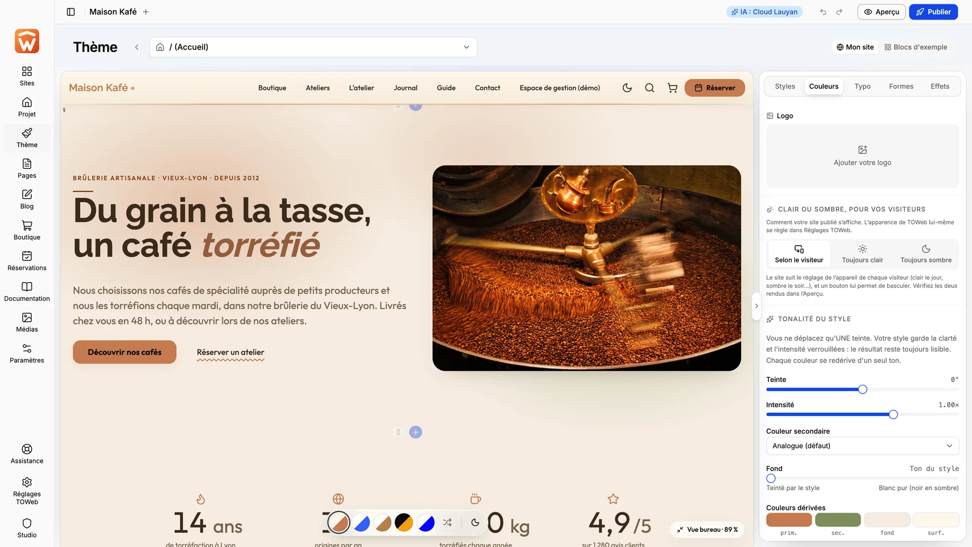 Adjusting the hue and intensity of the colours in TOWeb 15.